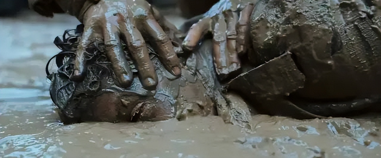 一上映就登票房榜首看完大呼过瘾,首播便拿下收视第一