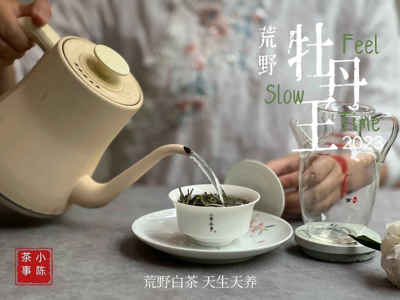 白茶鉴茶全套视频教程,白茶鉴茶教学视频