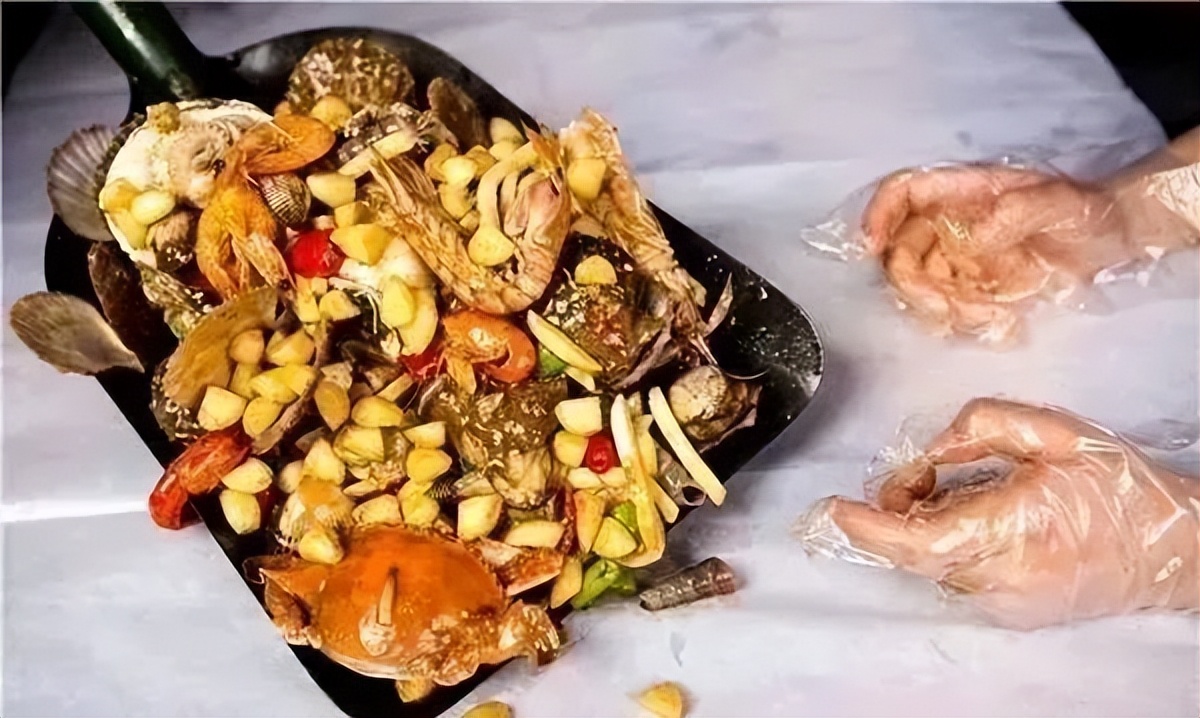 网上曝光章鱼须事件,关于章鱼事件