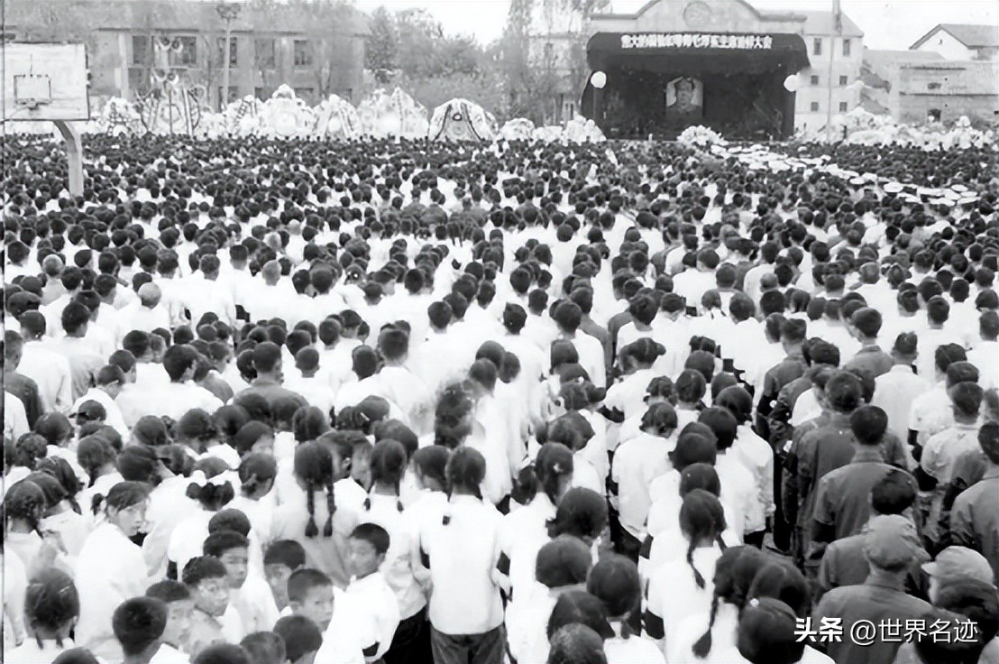 她是沈阳一女工，无意违背领导三条纪律和主席说话，结局令人动容