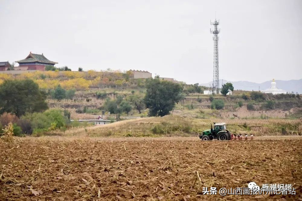 忻州奇村照片,忻州忻府区奇村镇