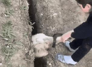 涔濅釜鍔ㄤ綔濮垮娍鎽嗘媿,涔濅釜鎵嬪娍鍔ㄤ綔