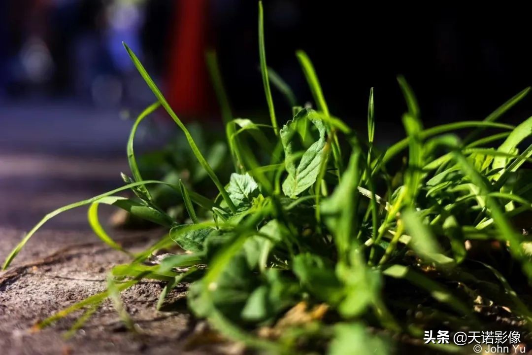 理光GRIIIX相机，可装进口袋的高画质扫街神器