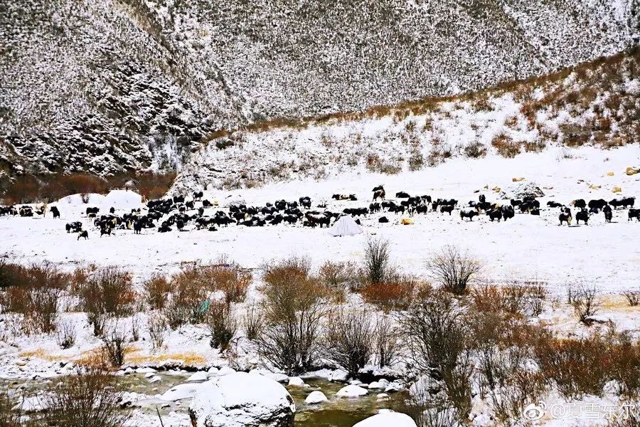 川西阿坝旅游详细攻略地图,川西阿坝旅游攻略三天