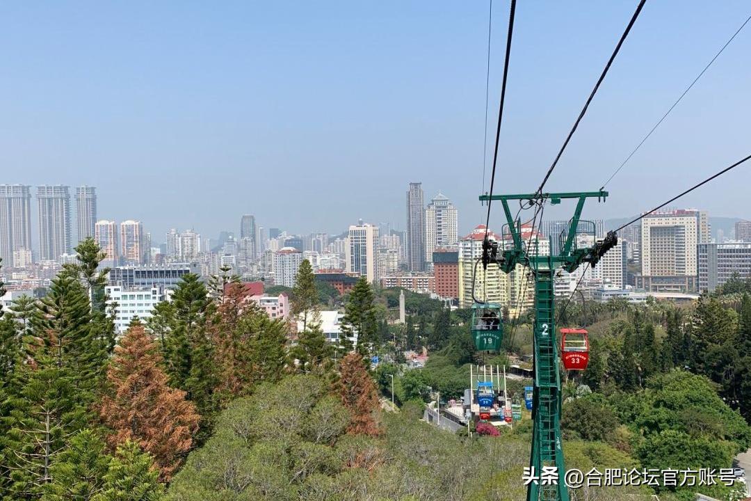 十一月合肥去哪里的机票最便宜,今年11月合肥特价机票