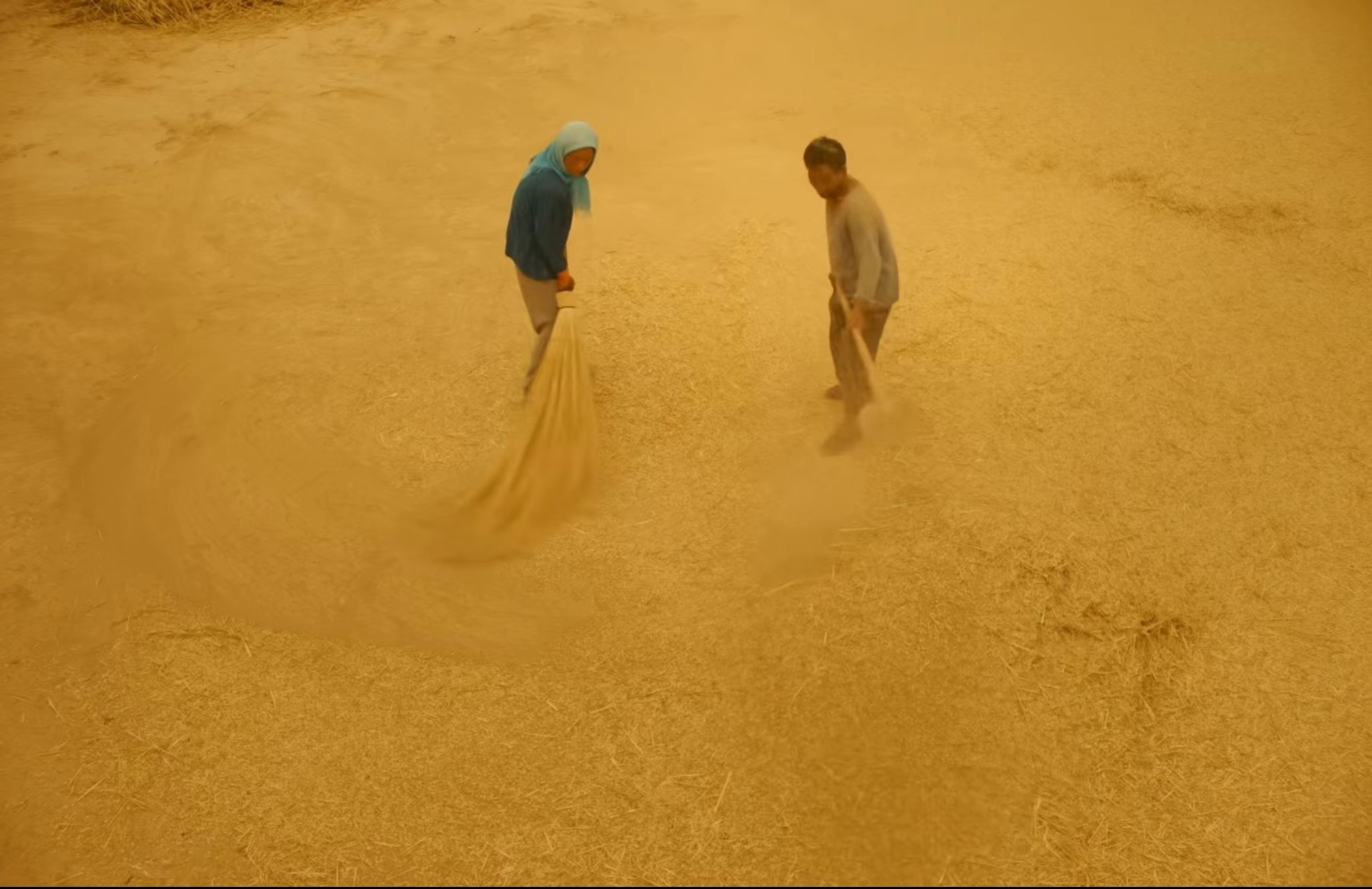 电影欣赏（六）《隐入尘烟》中的卑微人生