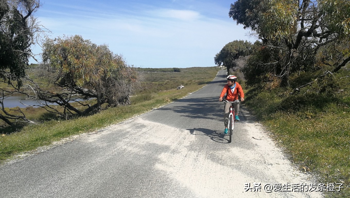 一路向北全程1980公里,西澳自驾游最佳路线图