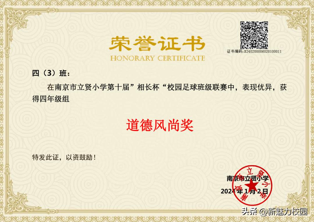 南京市晓庄小学校园足球联赛,区长杯小学校园足球联赛