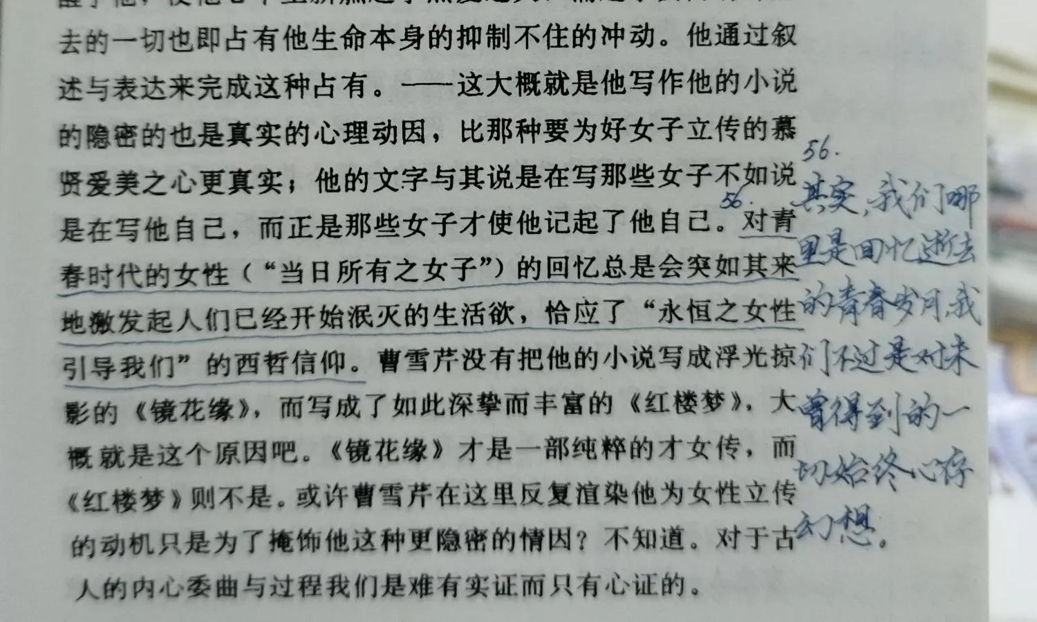 苦痛尘缘皆圆满？（读《重读古典》第八天）