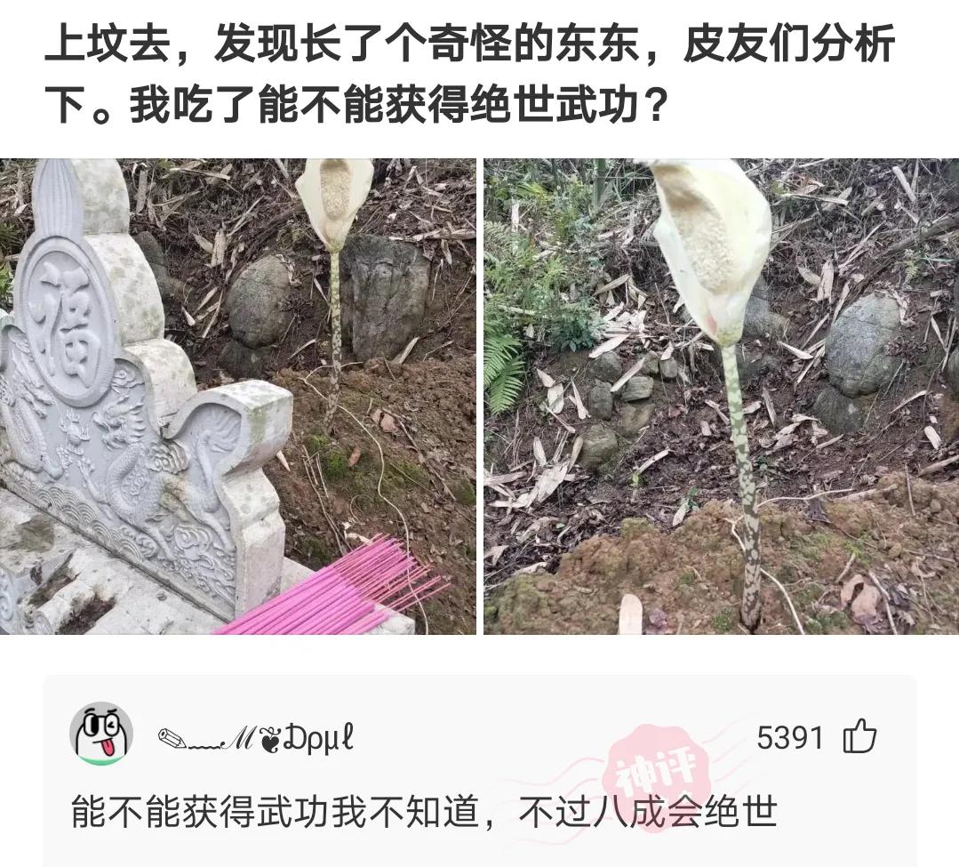 别人找你砍拼多多怎么回怼,朋友叫你拼多多砍一刀神回复