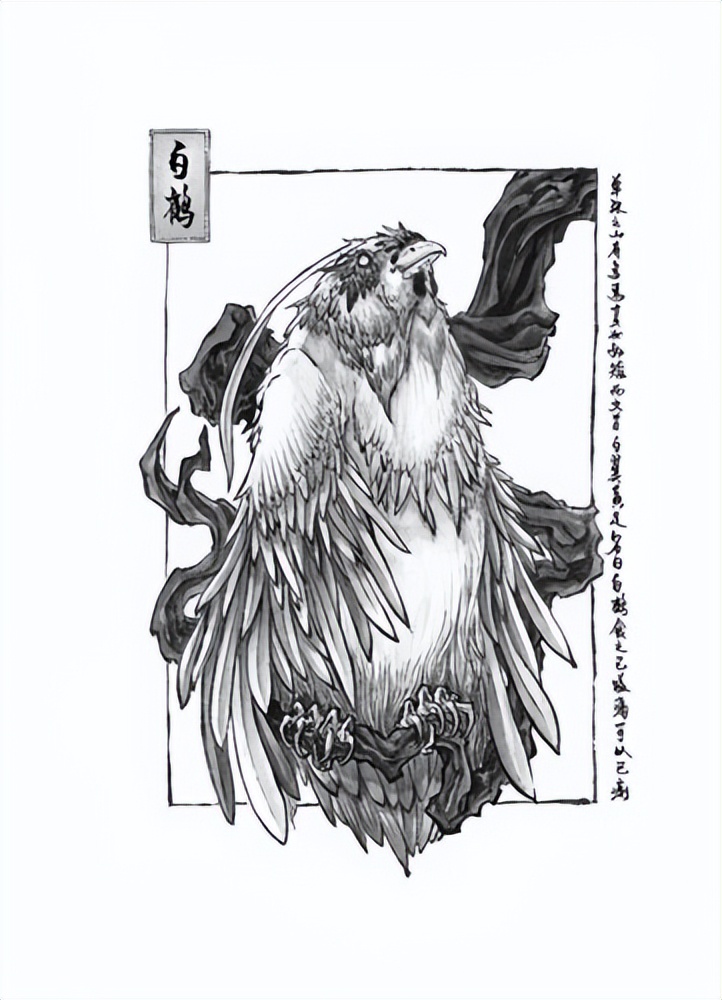 妖怪名单500集,妖怪名单第51集完整版