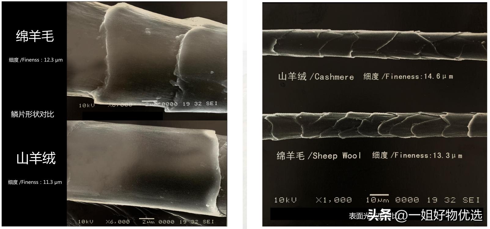 十大奢侈品围巾排名,十大奢侈品服饰排名
