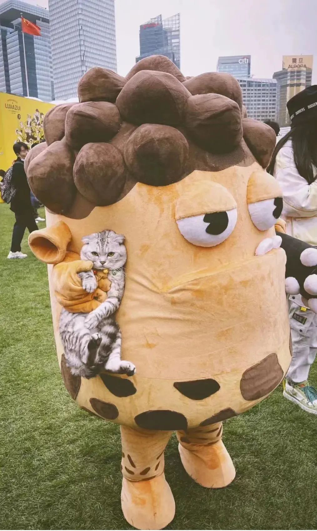 90后夫妻摆摊月入9000央视报道,95后夫妻摆摊卖土豆一日营业额9000