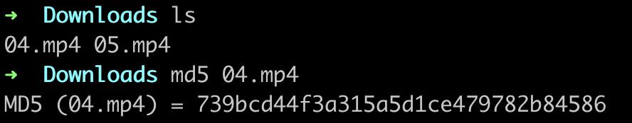 怎么验证文件md5值防止篡改,md5文件校验是什么意思