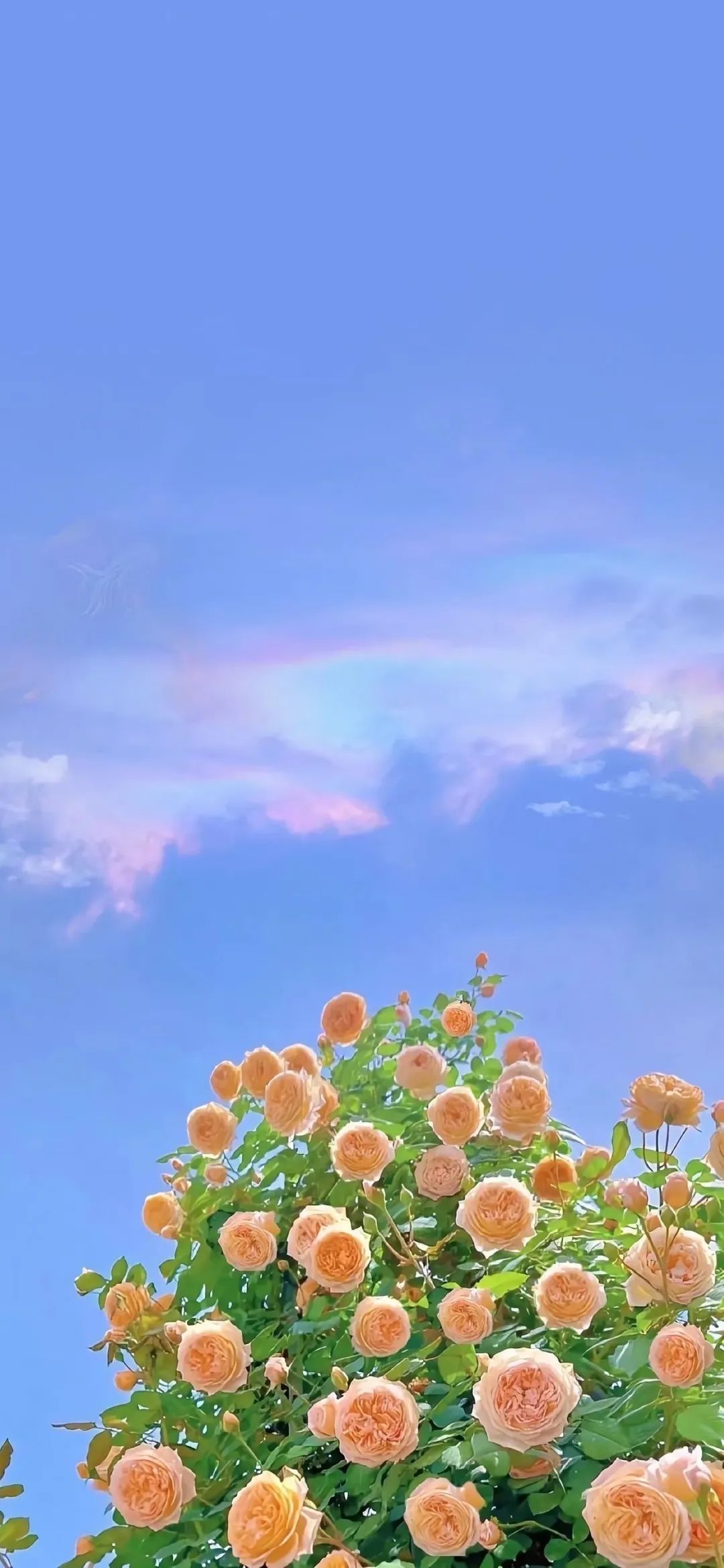 高清全屏壁纸最近比较火的壁纸,刘诗诗壁纸高清全屏无水印壁纸