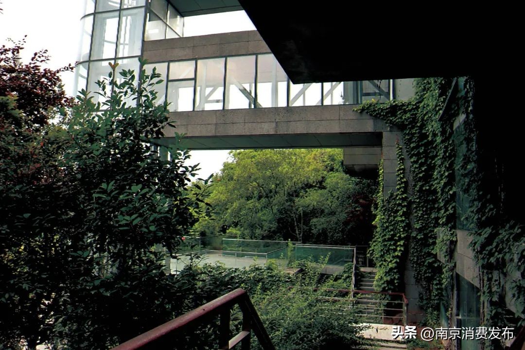 南京citywalk指南,南京12月份citywalk