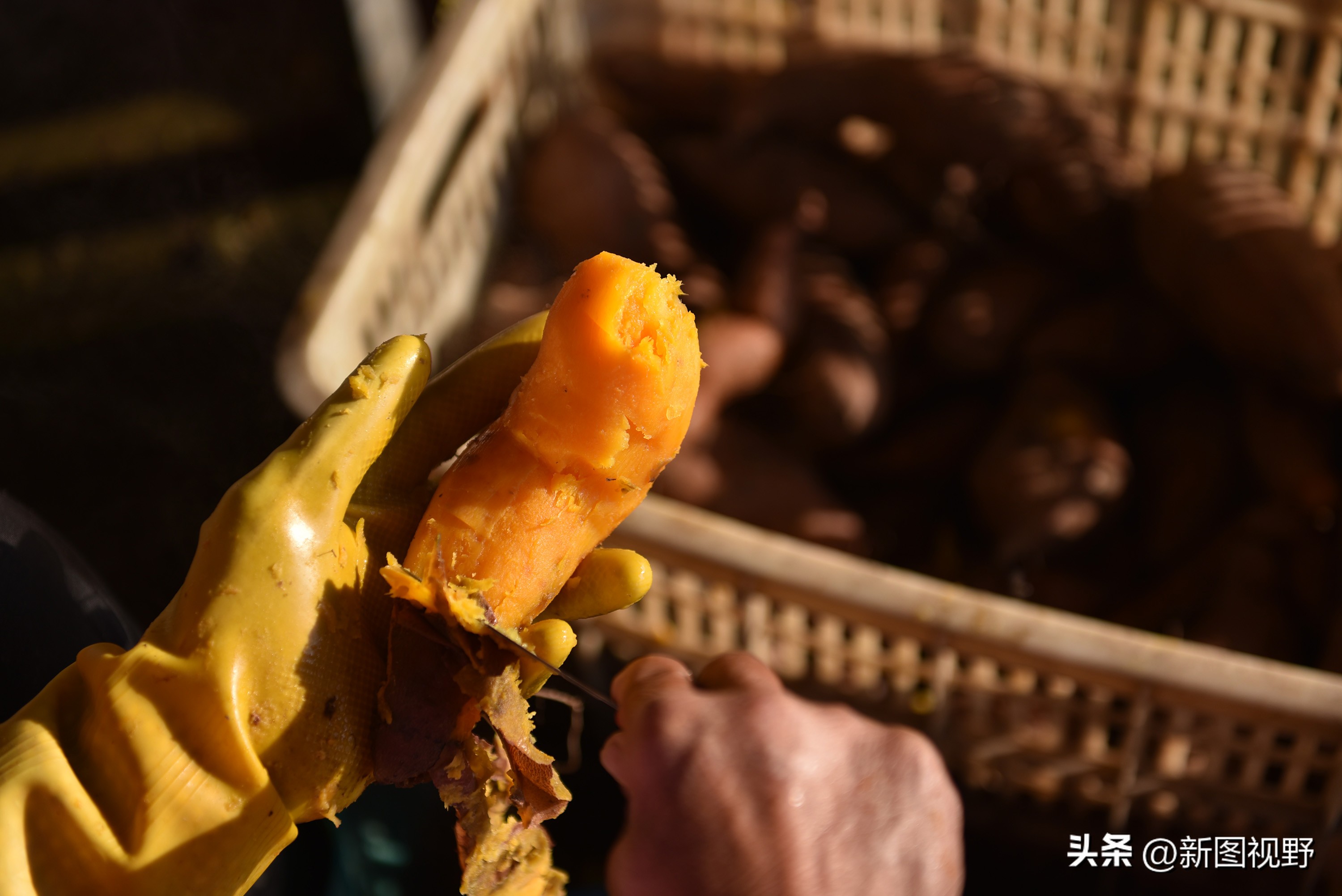 农村大姐靠什么赚钱,43岁农村大姐一天挣90元