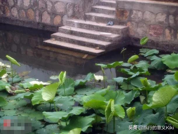 上海自驾西山旅游攻略,苏州东山一日游自驾游最佳路线图