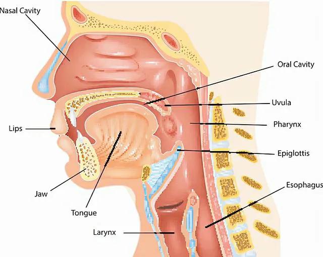 在农村喝井水会怎样,老家的泉水里面有蚂蟥