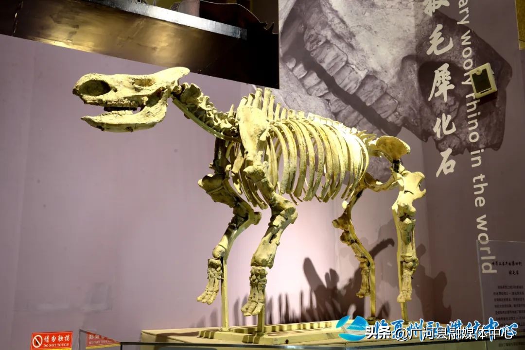 临夏回族自治州博物馆纪念物,临夏博物馆里有什么