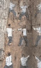 老婆包里发现的卡,老婆牙疼的特效药