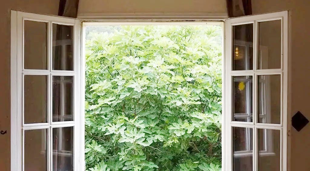 家里油漆味怎么快速消除小妙招,生活小妙招去除油漆