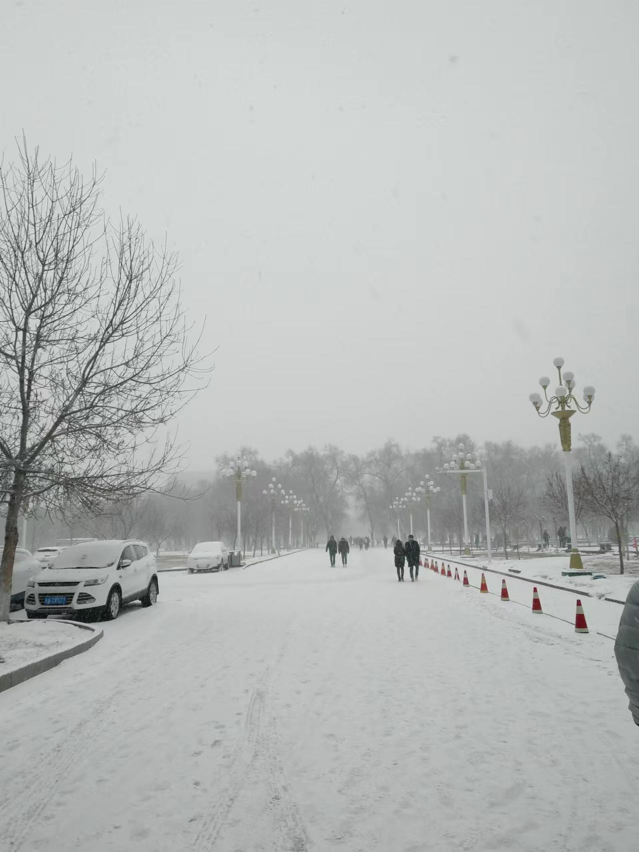 新疆农业大学在疆排名,全国教学评估新疆农业大学