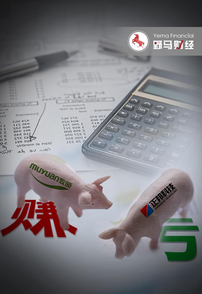 猪企去年业绩上演冰火两重天,五大猪企一季度亏损近150亿