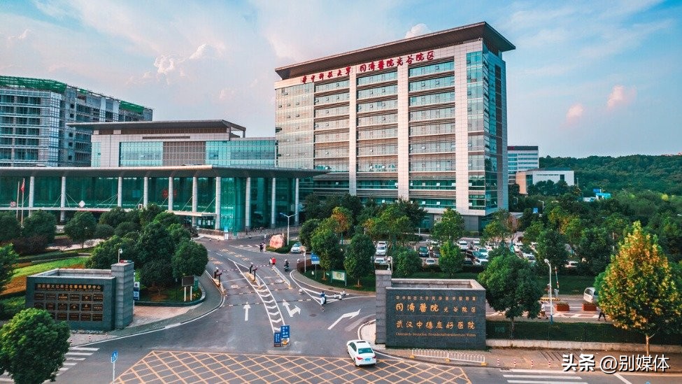 一块纱布的故事,一块纱布