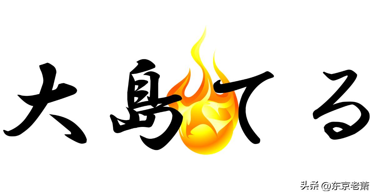 简历造假、项目加盟、过户*局骗**——2023版日本签证采坑实例