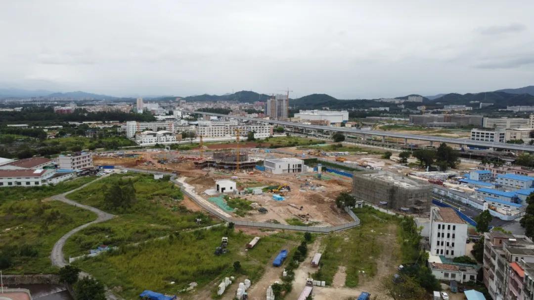 钟落潭哪里买花便宜,广州钟落潭值得买吗