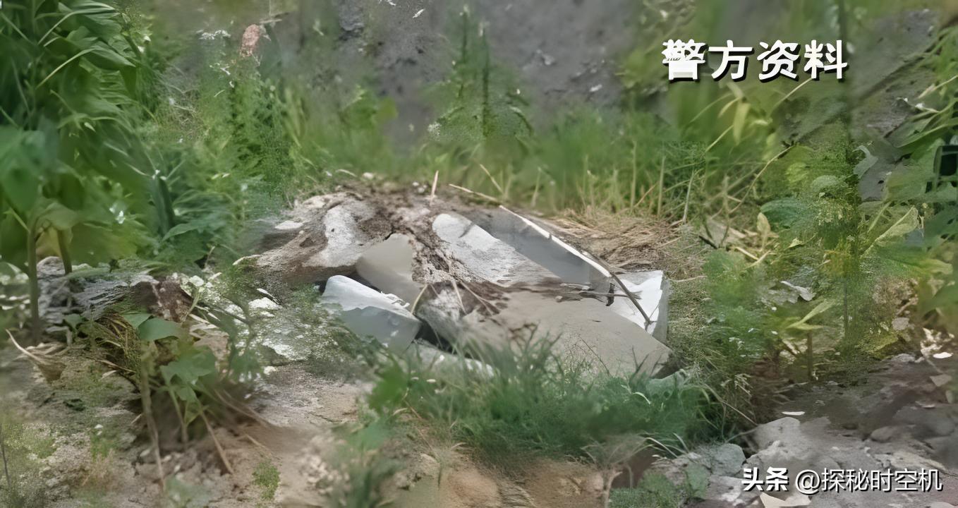 浙江行李箱碎尸案,江西皮箱藏尸真相大揭秘最新