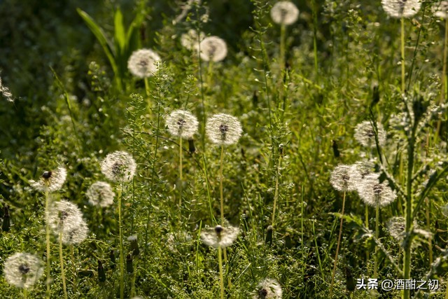 乡土小说：男欢女爱（十一）