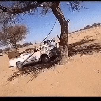 100个难得一见的照片,106个难得一见的照片