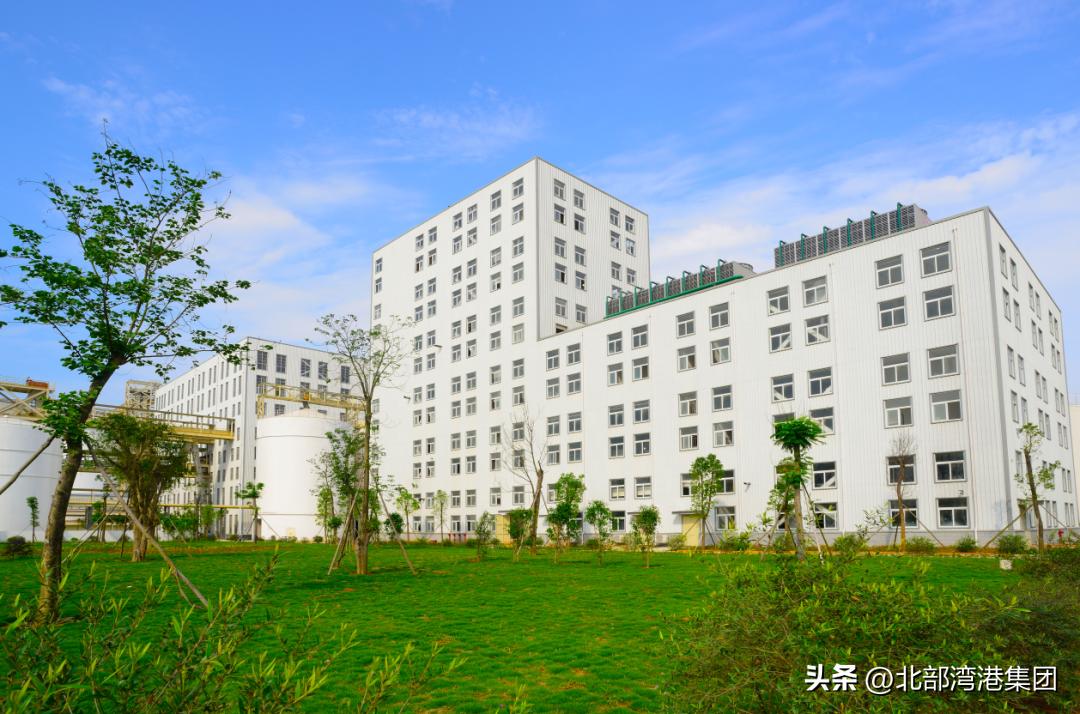 绿色工厂和绿色产品,绿色工厂需要的四个报告