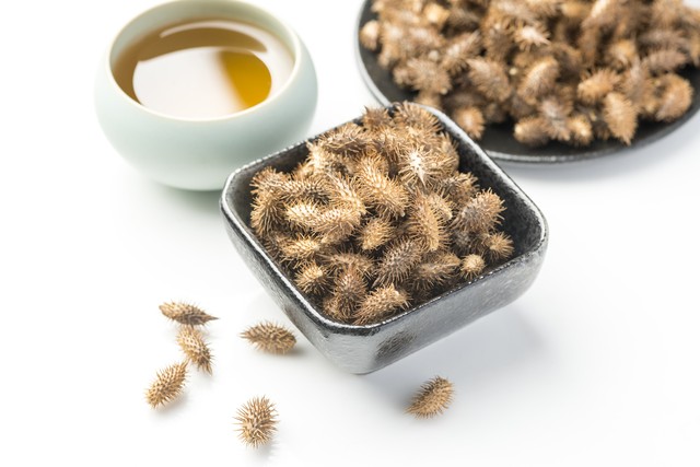 中医讲皮肤瘙痒是什么原因,血虚生风皮肤瘙痒中医方剂