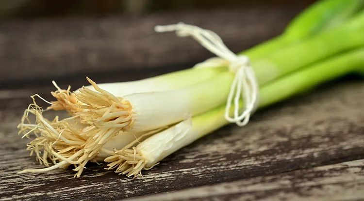 饿死不吃葱人穷不走亲的意思,人饿了别吃葱人穷了别走亲