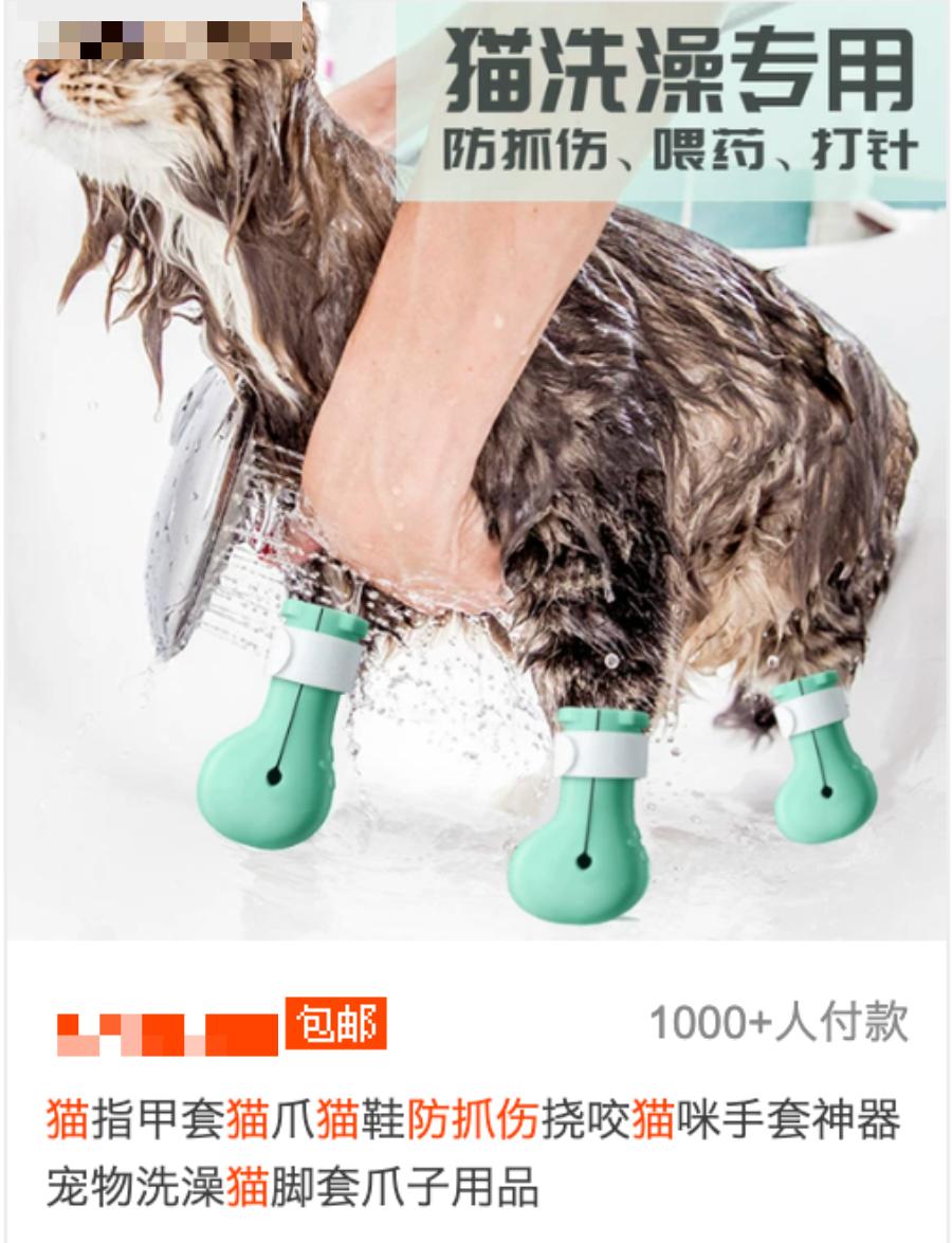 猫咪长时间穿鞋导致四肢溃烂，原因竟然是…主人怕被挠？