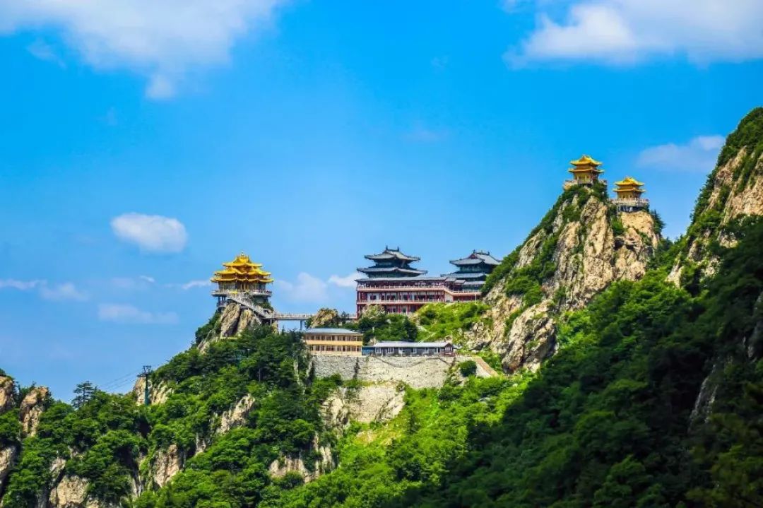 半价门票,景区免票半价