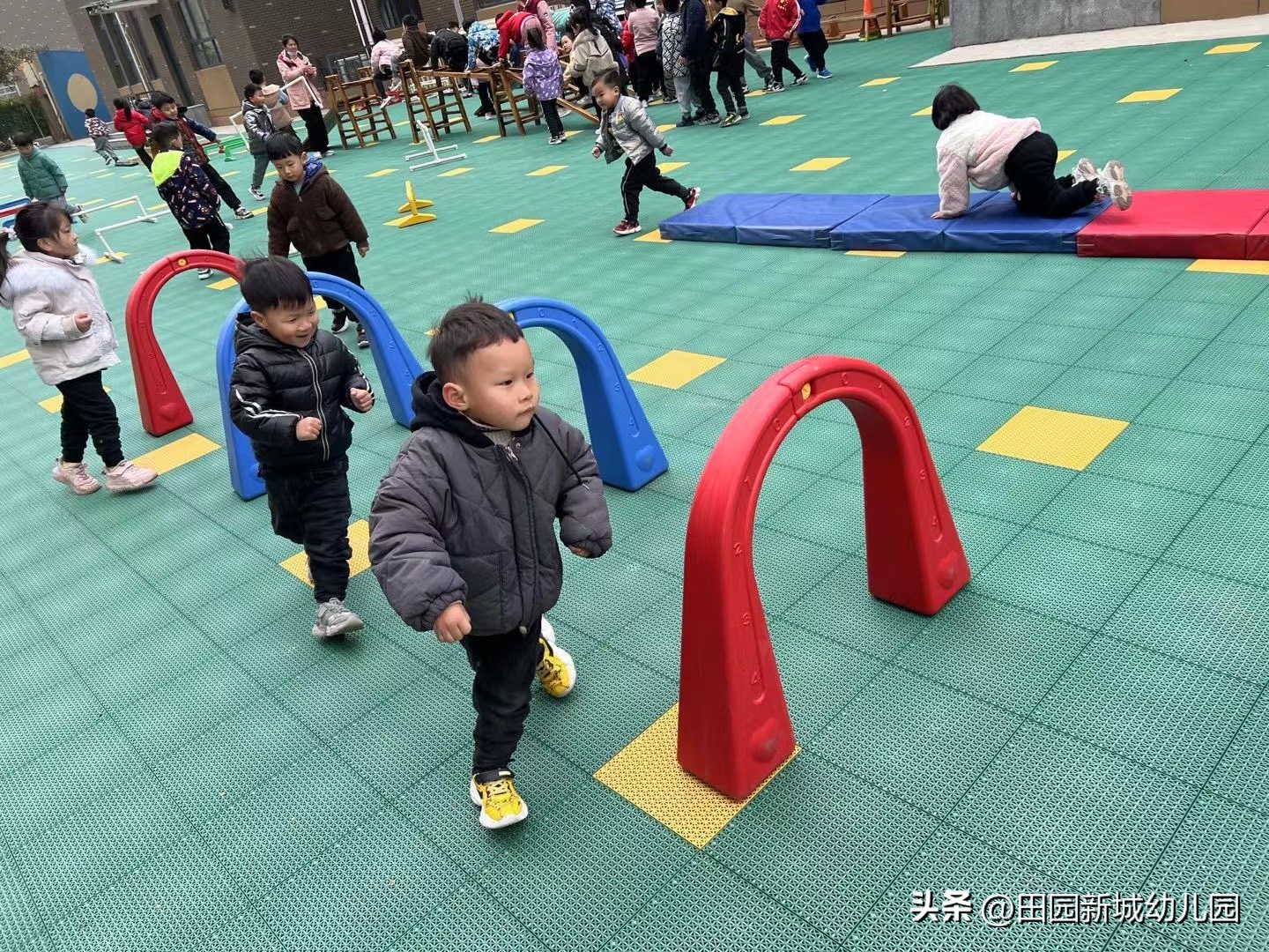 课程故事乌龟大班,嗨小鸭课程故事