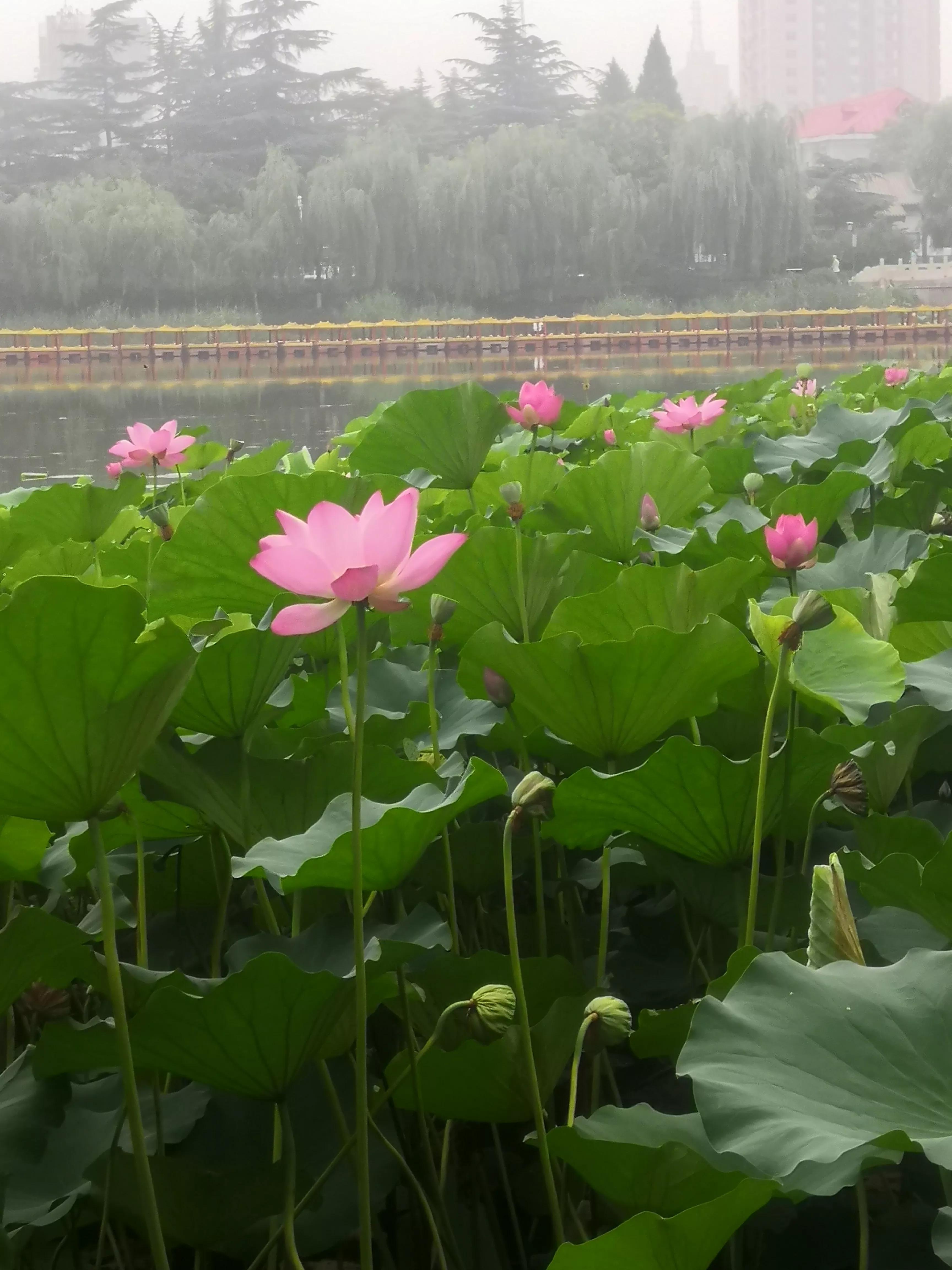 鑽峰鏈堣壊淇緸鏁欐,鑽峰鏈堣壊淇緸