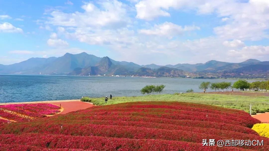 云南玉溪山水旅游景点推荐,澄江旅游攻略一日游最新