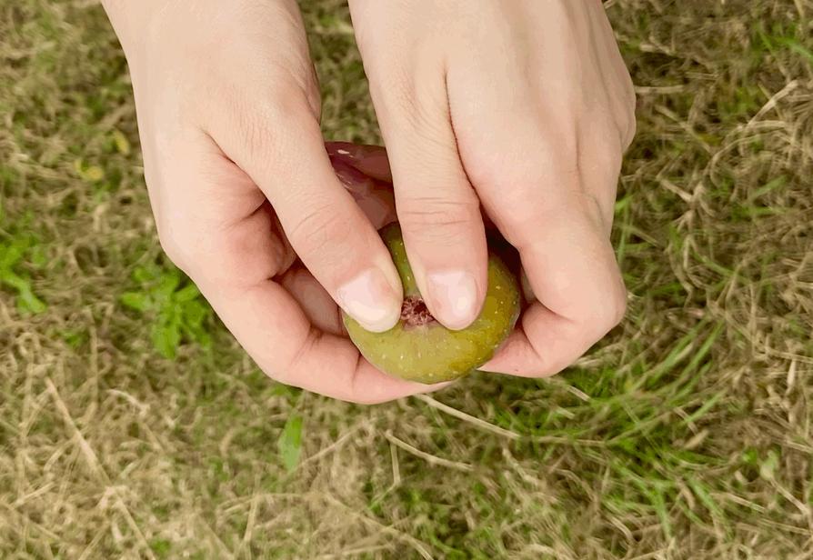 无花果的十大经典吃法,无花果的新吃法大全