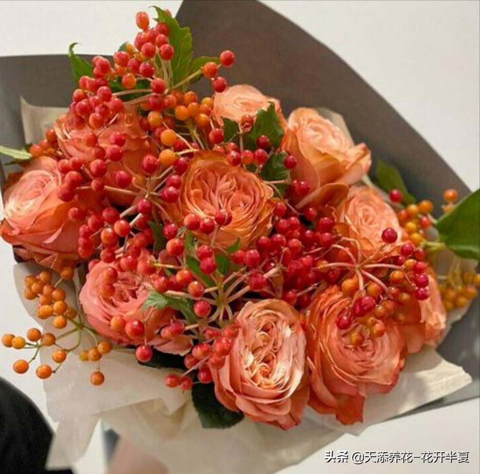 18朵粉色玫瑰花代表什么含义,5朵玫瑰花的寓意和花语是什么