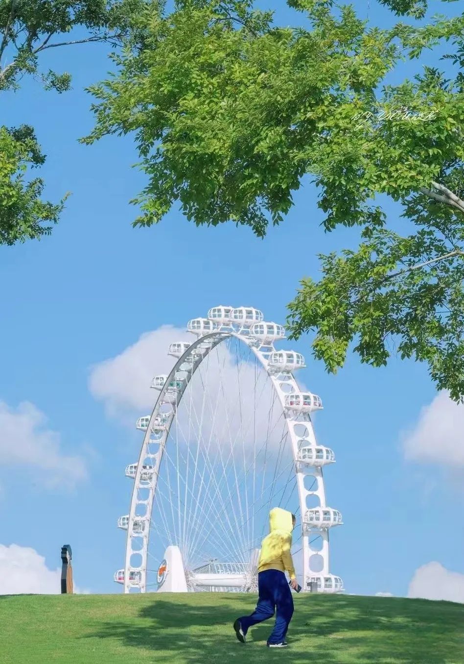 深圳原来真的美,深圳美到极致