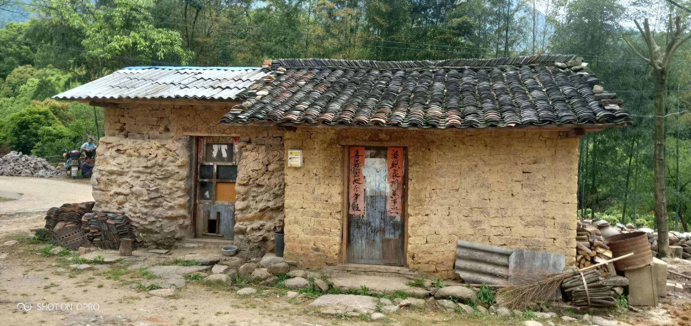 好心奶奶救下蛇20年后,男子救下一条小蛇20年后来报恩