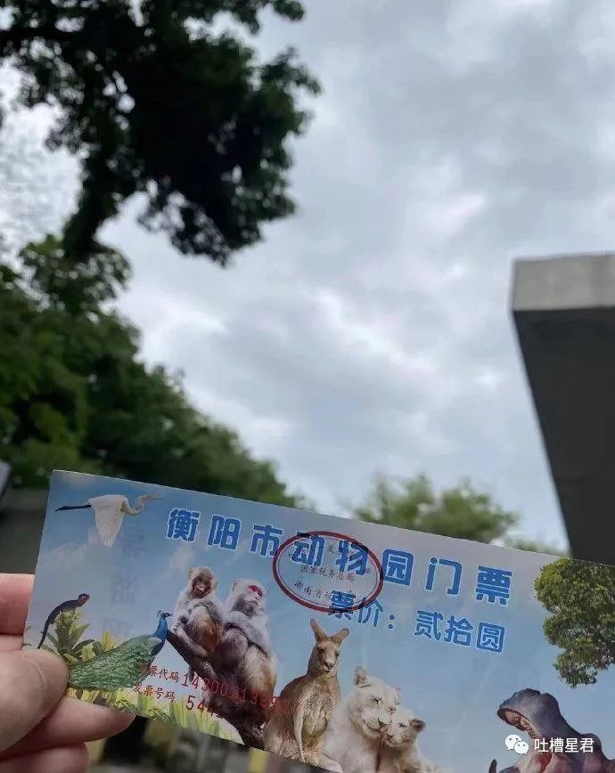 女友穿吊带裙男朋友的反应,女友买了新裙子