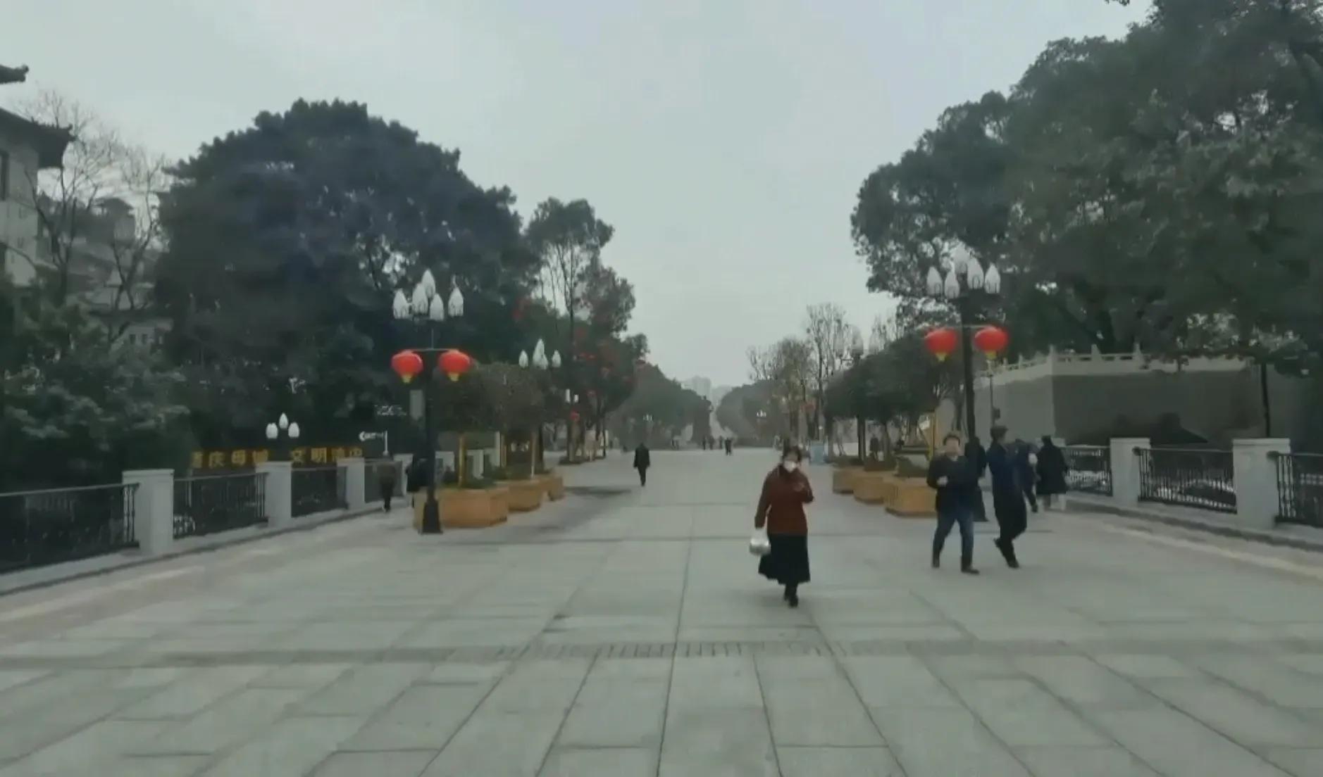 春游开拓眼界,春游樱花广场图片