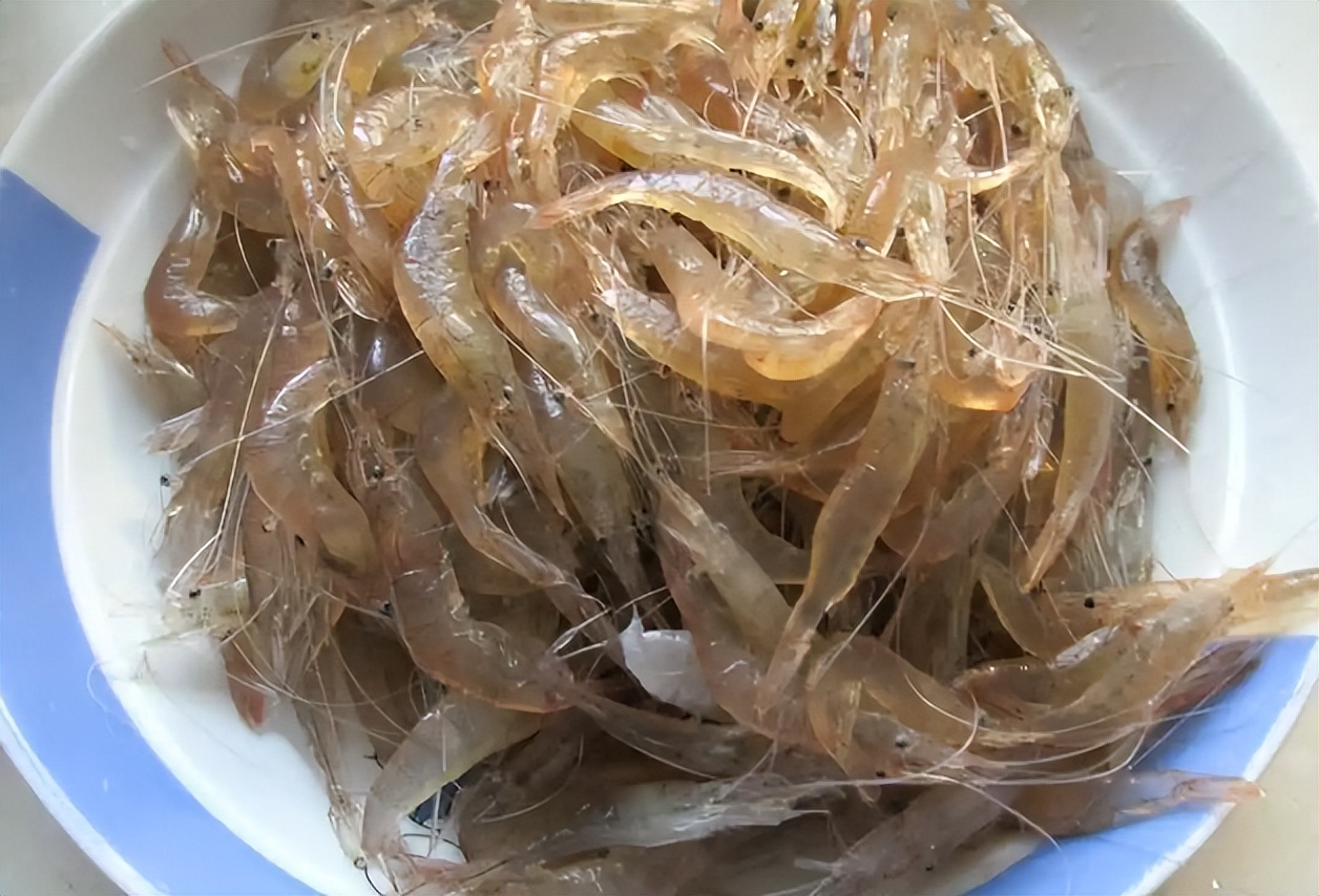 五月份什么海鲜上市,5月份什么海鲜比较多