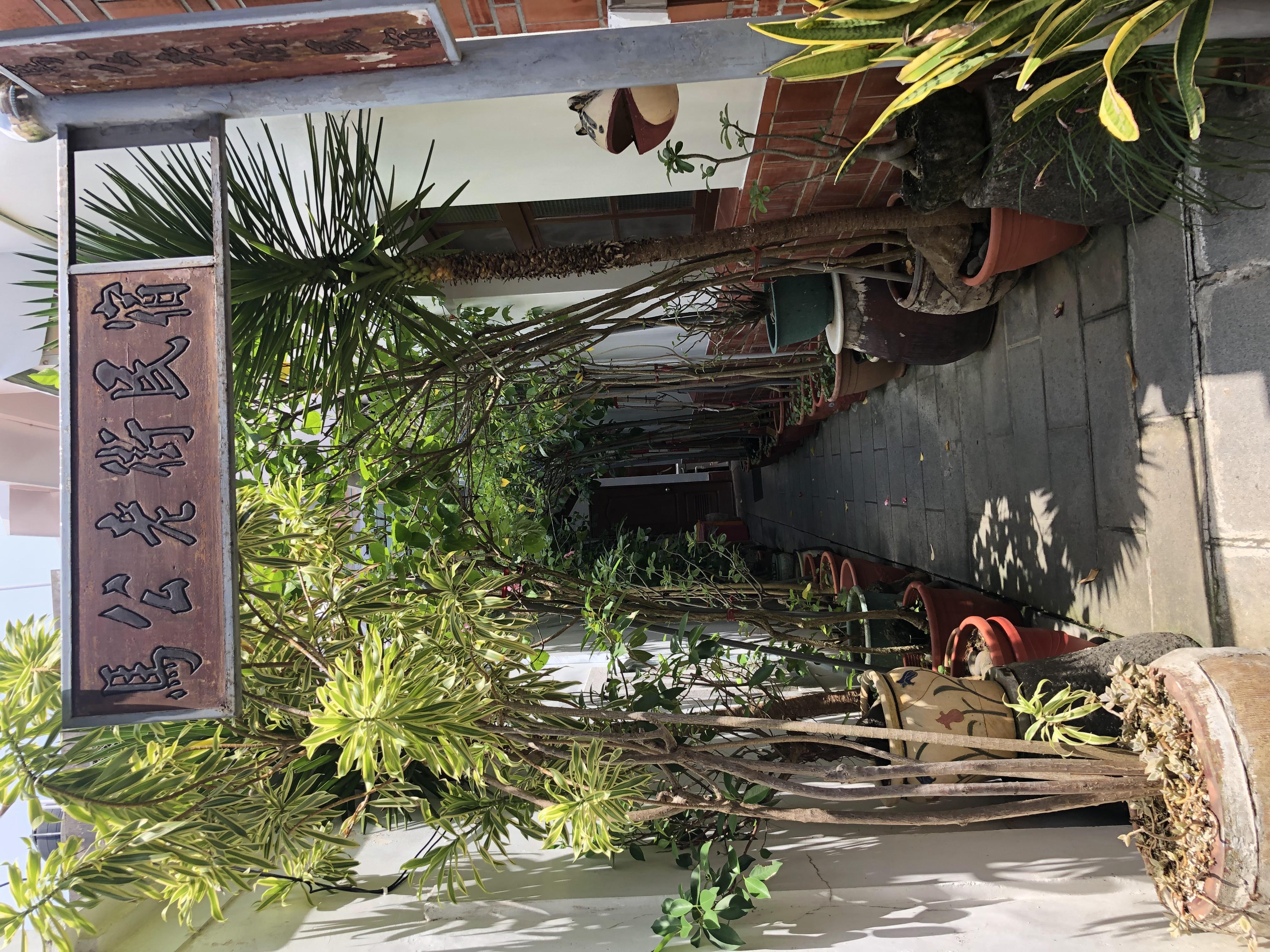 台湾8天7夜环岛行散记,台湾15天自由行攻略